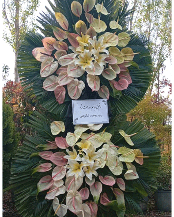 picccc7c0 ad98 d2eb076da33a 1